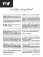 Lipase-Catalyzed Production of Biodiesel