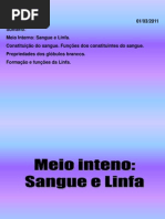 sistemacirculatrio-110509084430-phpapp02