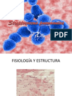 Streptococcus Pneumoniae