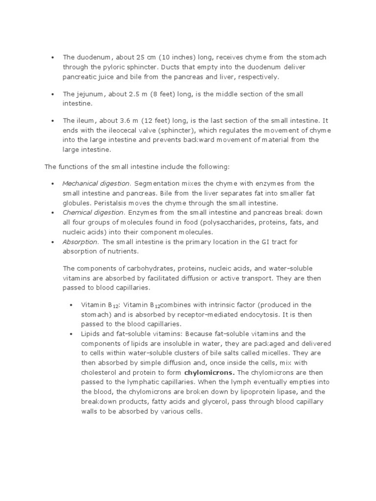 Mechanical Digestion. Segmentation Mixes The Chyme With Enzymes From