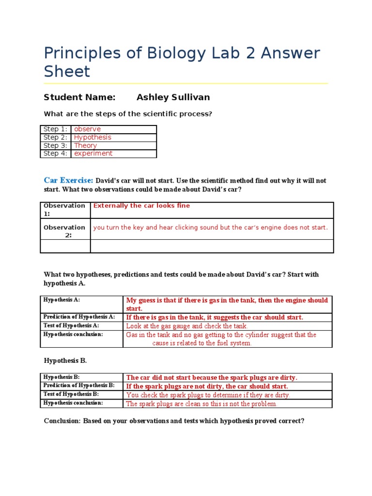 How to write a lab report pdf image