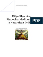 Dilgo Khyentse Rinpoche Meditando en La Naturaleza de Buda