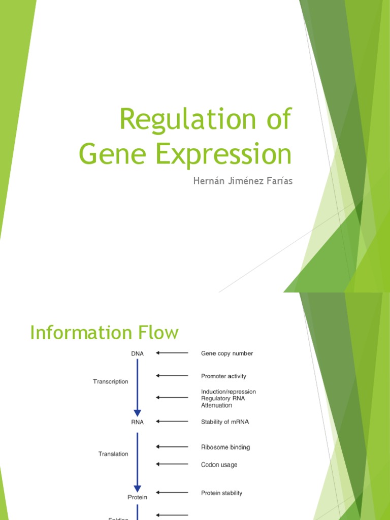 Gene Expression Regulation Overview | PDF | Science & Mathematics