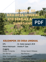 Slide Seminar KKU Kelompok XII-2012 2013