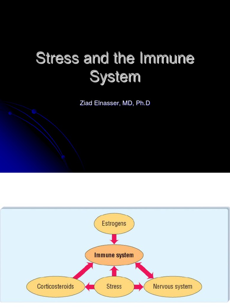 Impact of Stress on Immunity | PDF | Immune System | Estrogen