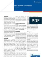 Mycoplasma Infection in Swine Overview (a. Lavel)