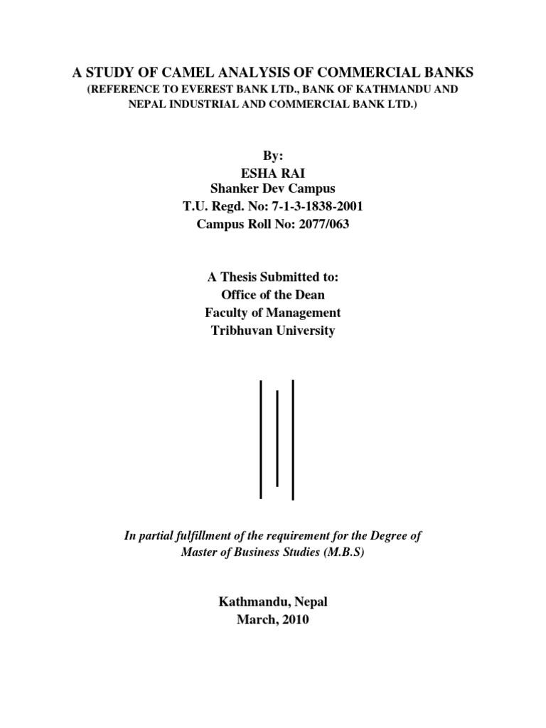 Camel analysis thesis image