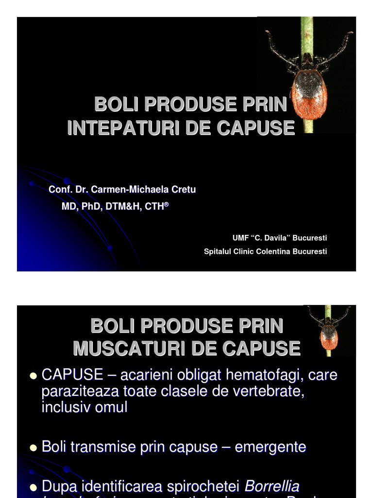 Capuse | PDF