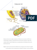 Cell Research