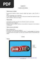 FisioCardCap12_VASOS_SANGUINEOS