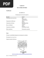 FisioOrgSenCap26_MECANORECEPTORES