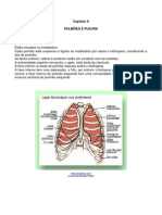 Fisiorescap06 Pulmoes Pleura