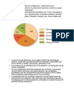 - Presentacion Forestal[Eucaliptus