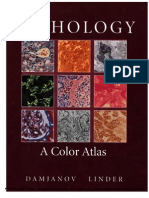 Color Atlas of Pathology