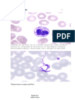 Atlas Hematologia Citipatologia 1