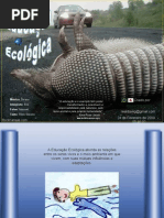 Educacao Ecologica SOM