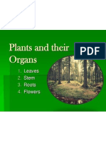 plant systems notes ppt