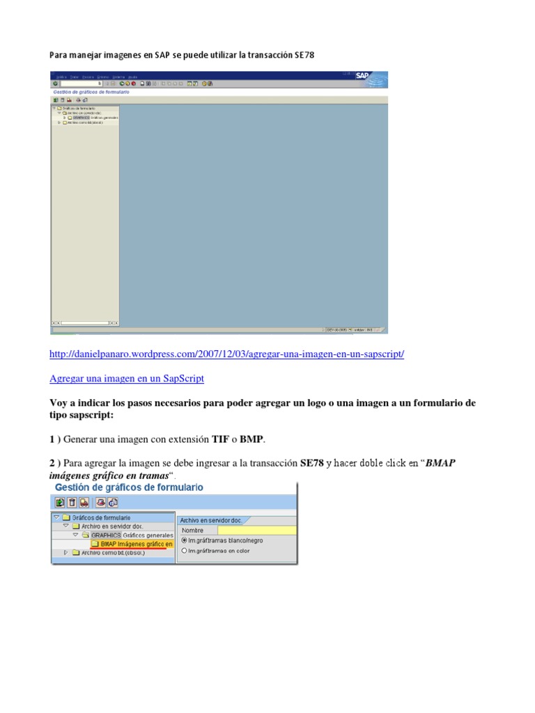 Imagenes en SAP Se Puede Utilizar La Transacción SE78 | PDF