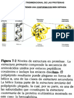 Conformacion Proteinas