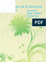 7-16b-breastfeeding-spanish.pdf