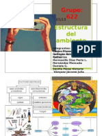 Estructura Del Ambiente Ecología