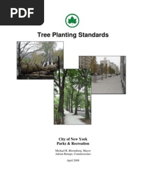 tree plantation guide