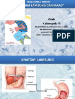 Obat-Obat Lambung