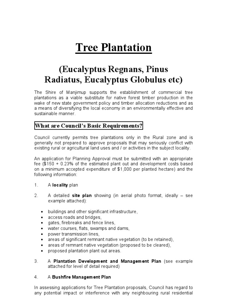 tree plantation business plan