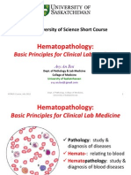 HCMUS-Hematopathology