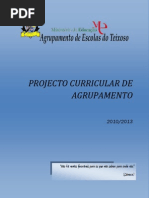 Proj Curr Agrup Teixoso 10 13