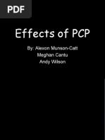 Download Effects of PCP by Nediva SN12798037 doc pdf