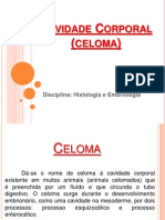 Cavidade Corporal (Celoma)