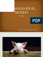 Power Point Animales en El Mundo