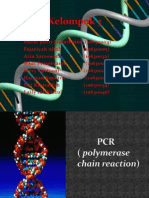 PCR