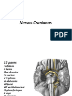 Nervos Cranianos[1] Anatomia