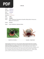Download CAPLAK by Benny Andista SN128058316 doc pdf