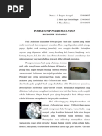 Download penyakit pasca panen by Kayyis Assegaf SN128066831 doc pdf