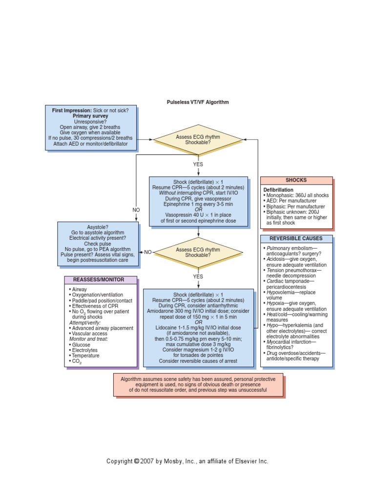 Pulseless VT/VF Algorithm First Impression: Sick or Not Sick? Primary ...