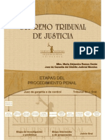Etapas Del Procedimiento Penal PDF