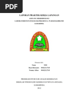 Download Laporan Resmi Praktek Kerja Lapangan Di Ruangan Mikrobilogi Labpk RSUD AWS Samarinda by TomMy Charming SN128079820 doc pdf