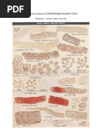 Download Sedimen Sternheimer Malbin Stain by TomMy Charming SN128080909 doc pdf