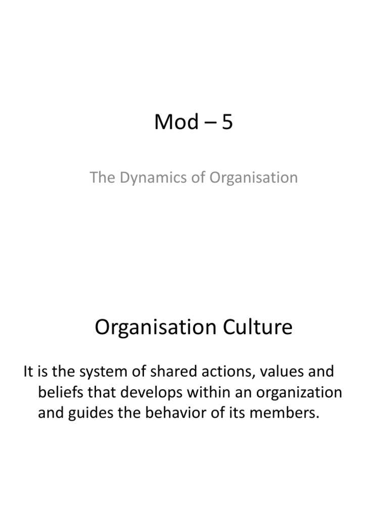 Understanding Organizational Culture Dynamics | PDF | Organizational ...