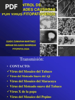 Download Fitopatologa-Virus-UNSA2010-2 by Yriss SN128084477 doc pdf