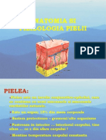 Anatomia Pielii