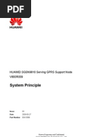 System Principle: HUAWEI SGSN9810 Serving GPRS Support Node V800R009