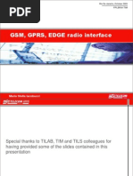 GSM, GPRS, EDGE Radio Interface: Maria Stella Iacobucci