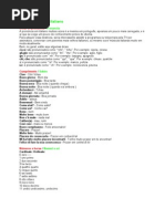 Download Curso Basico de Italiano by crissinatti SN12812005 doc pdf