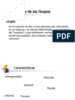Teoria de Grupos Teoria y Gestion