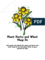 Plant Parts and What They Do