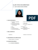 CV Estudiante Nutrición Gaby Huanca